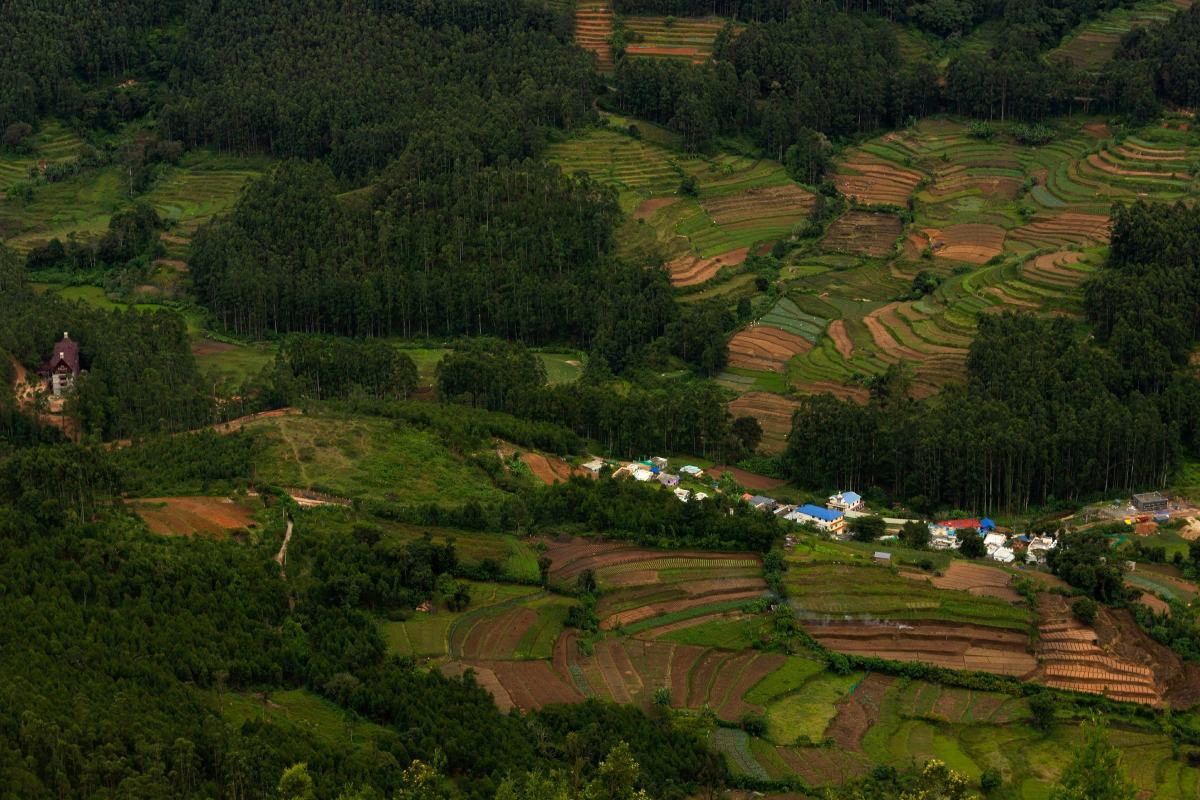 Lush green terraced fields and dense forests surrounding a small village in a hilly landscape.